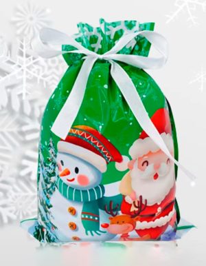 Nueva Bolsa Pascuera